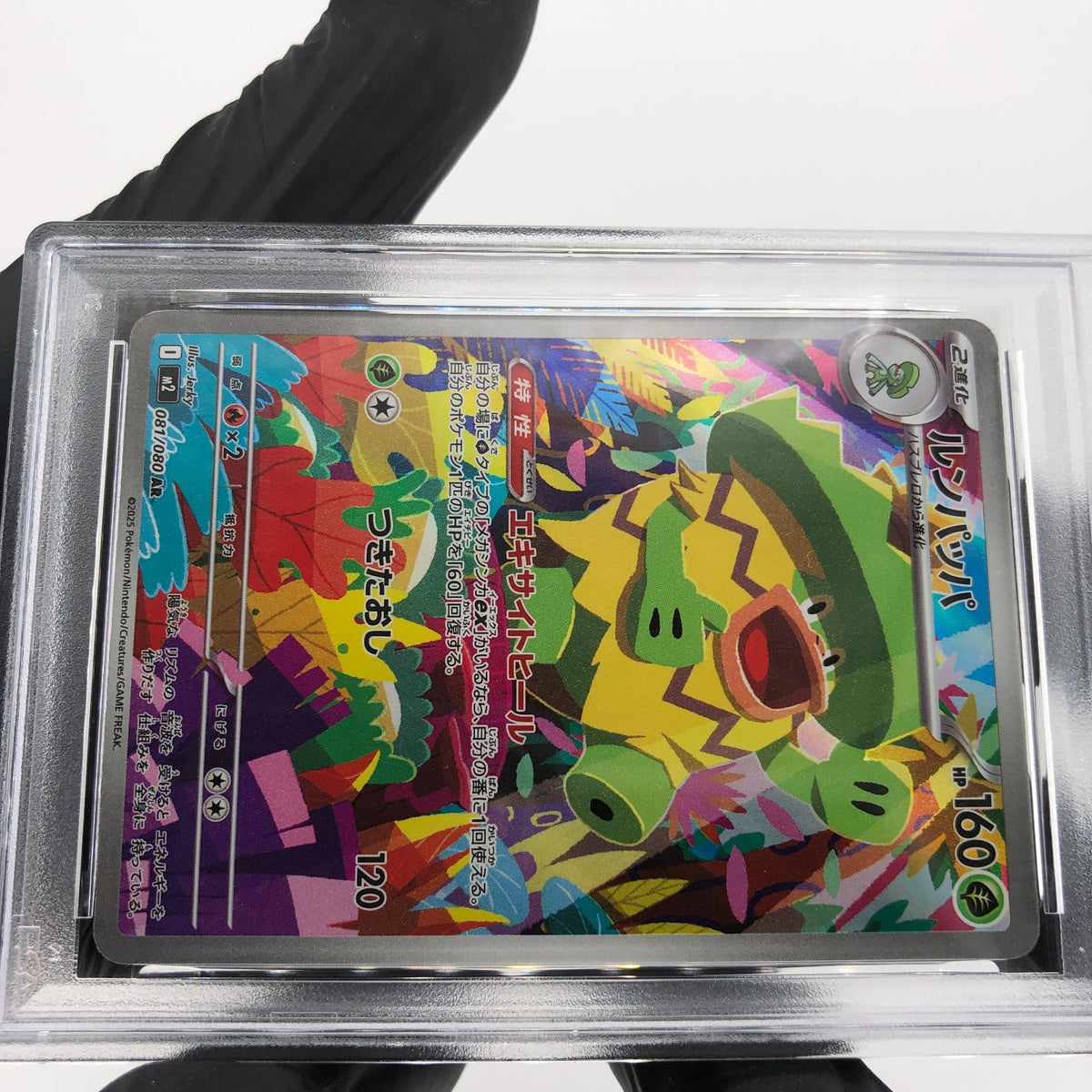 PSA 9 Pokemon Card Ludicolo 081/080 AR M2 Japanese Karte [9]
