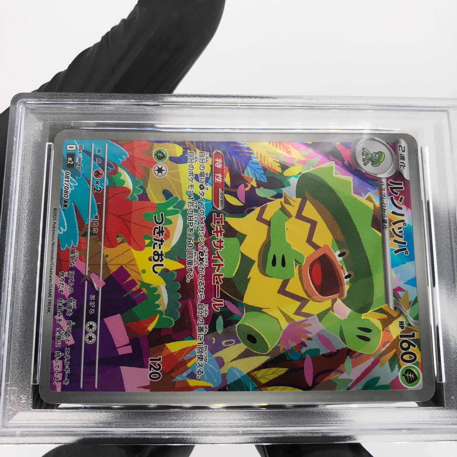 PSA 9 Pokemon Card Ludicolo 081/080 AR M2 Japanese Karte [9]