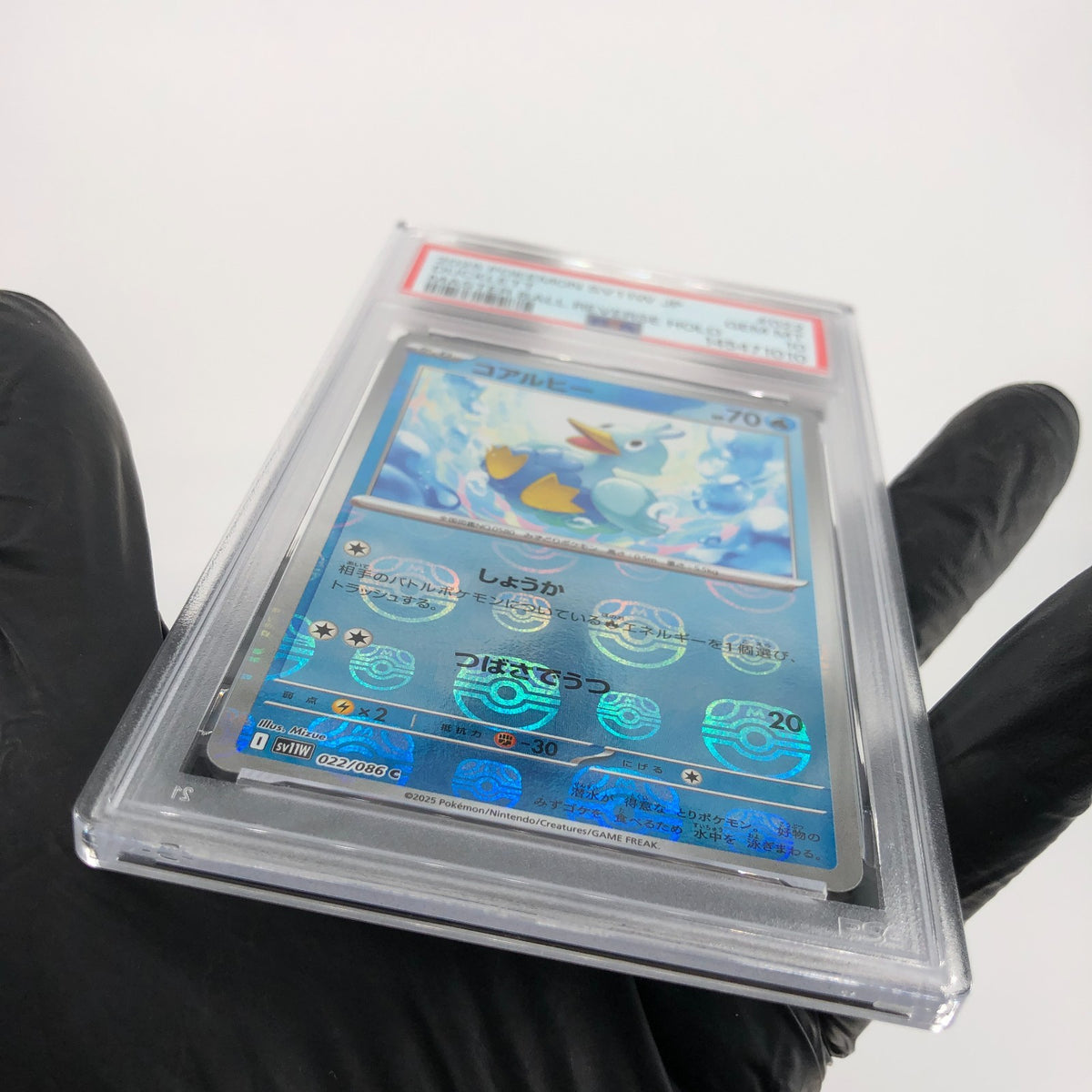 PSA 10 Pokemon Card Ducklett 022/086 C Masterball SV11W Japanese Karte [10]