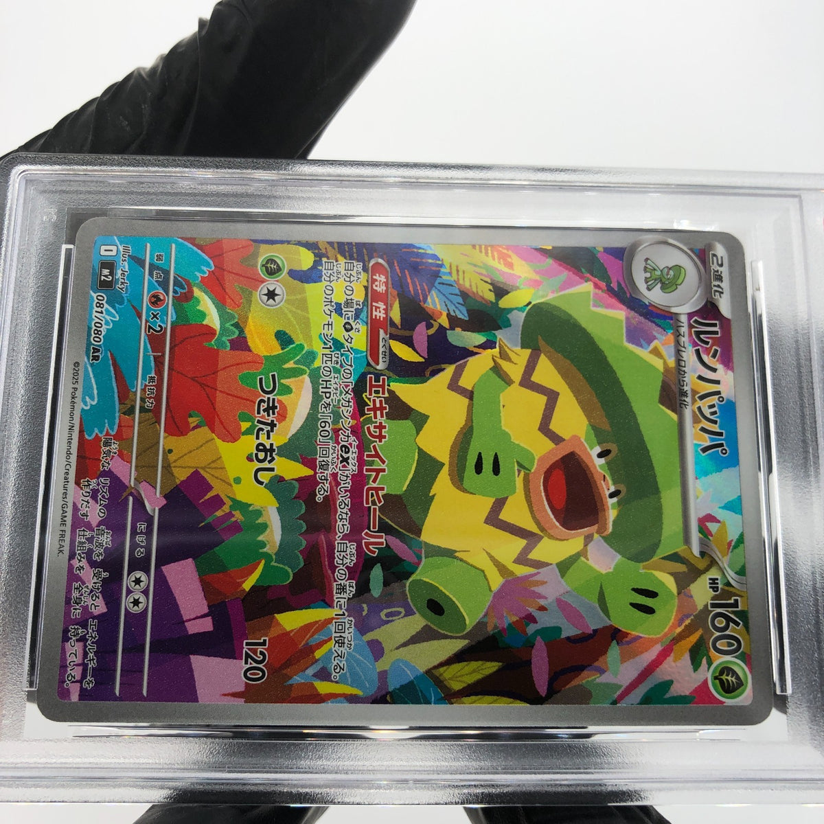 PSA 10 Pokemon Card Ludicolo 081/080 AR M2 Japanese Karte [10] 2