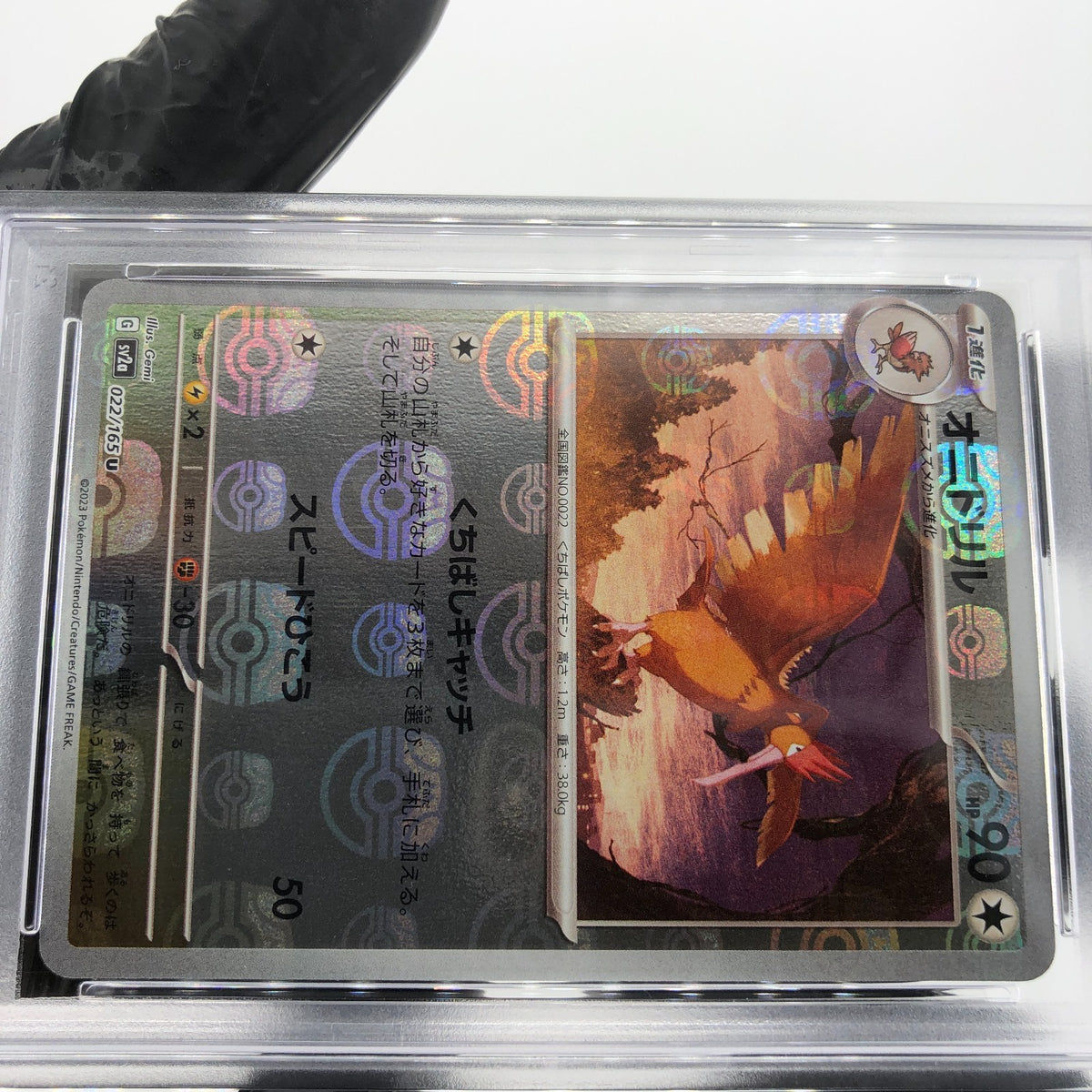 PSA 9 Pokemon Card Fearow 022/165 U Masterball SV2a Japanese Karte [9]