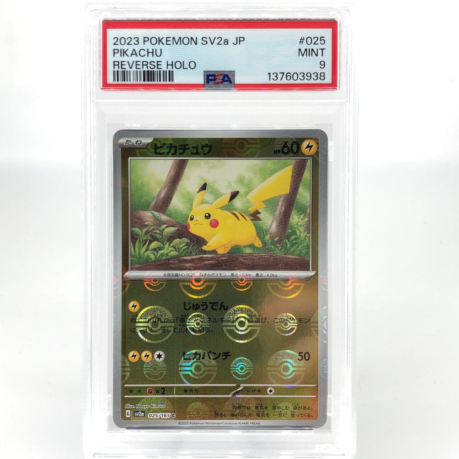 PSA 9 Pokemon Card Pikachu 025/165 C Pokeball SV2a Japanese Karte [9]