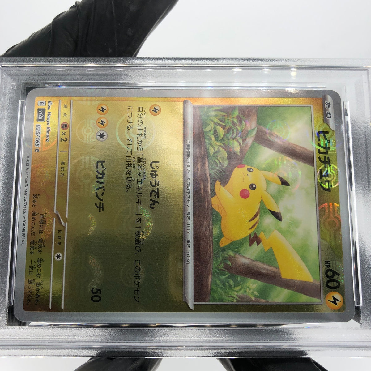 PSA 9 Pokemon Card Pikachu 025/165 C Pokeball SV2a Japanese Karte [9]
