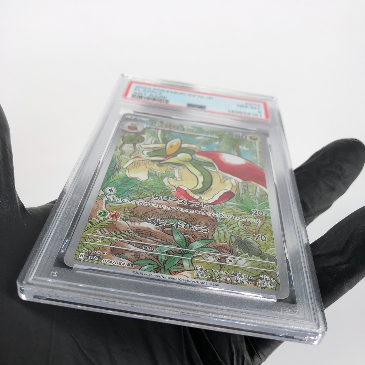 PSA 8 Pokemon Card Flapple 074/064 AR SV7a  Japanese Karte [8]