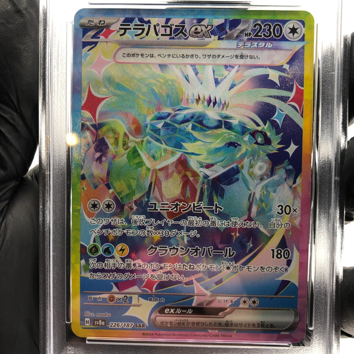 PSA 10 Pokemon Card Terapagos Ex 226/187 SAR SV8a Holo Japanese Karte [10]