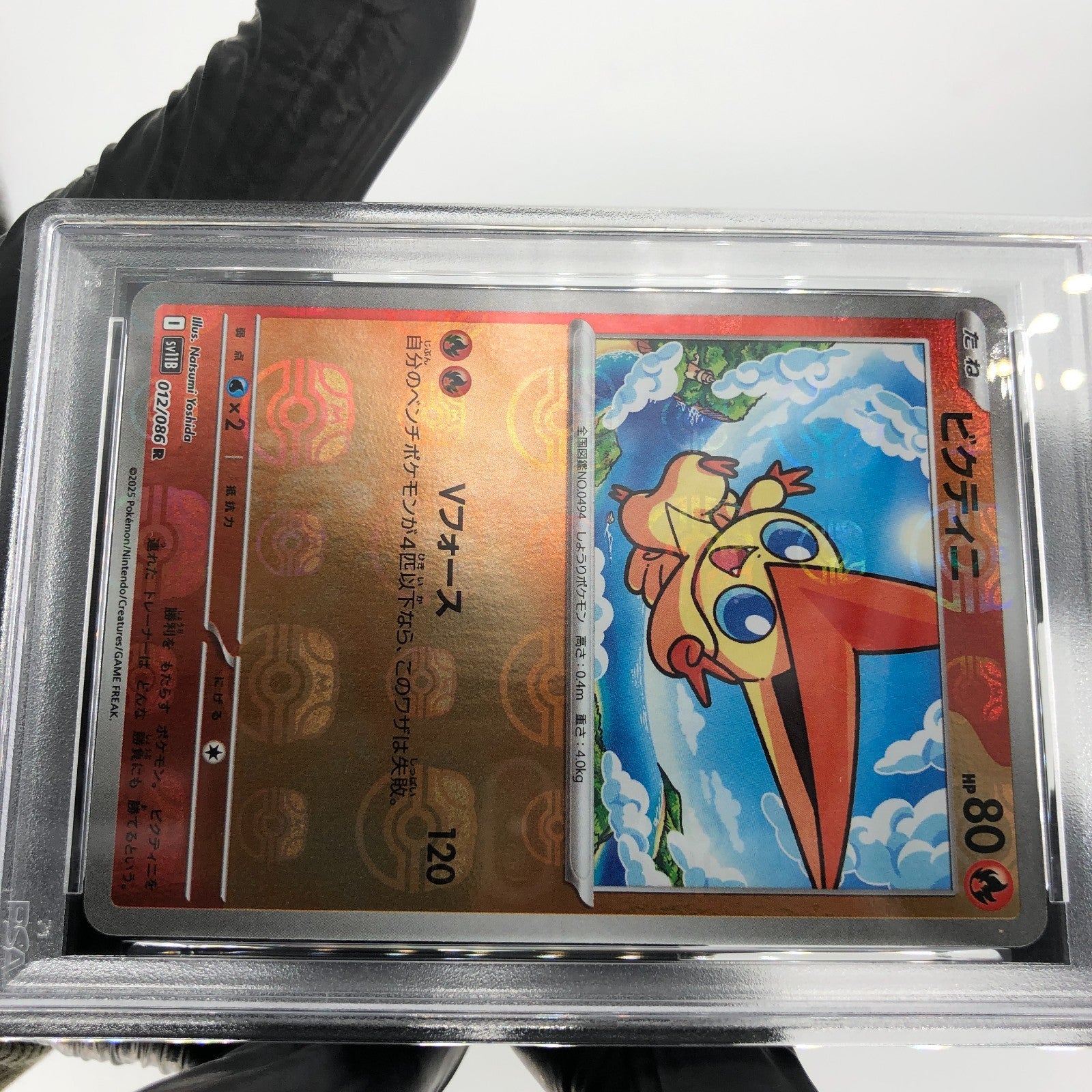 PSA 8 Pokemon Card Victini 012/086 R Masterball SV11b Japanese Karte [8]