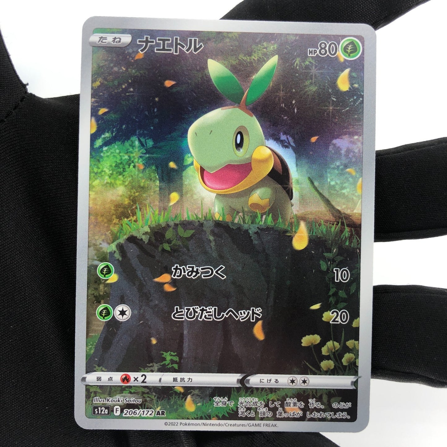 Pokemon Card Turtwig 206/172 AR s12a Full Art Foil Japanese Karte [Mint]