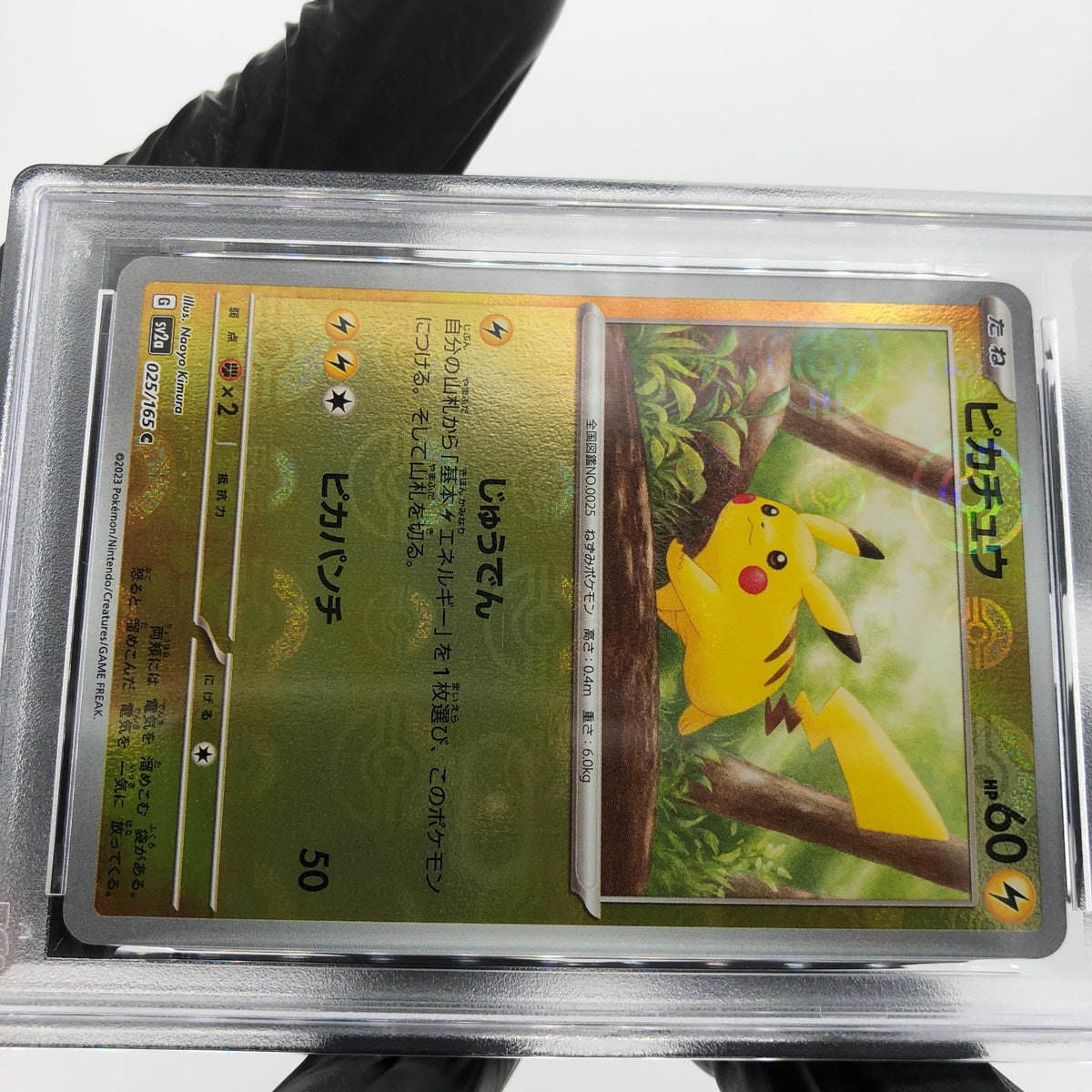 PSA 9 Pokemon Card Pikachu 025/165 C Pokeball SV2a Japanese Karte [9] 3