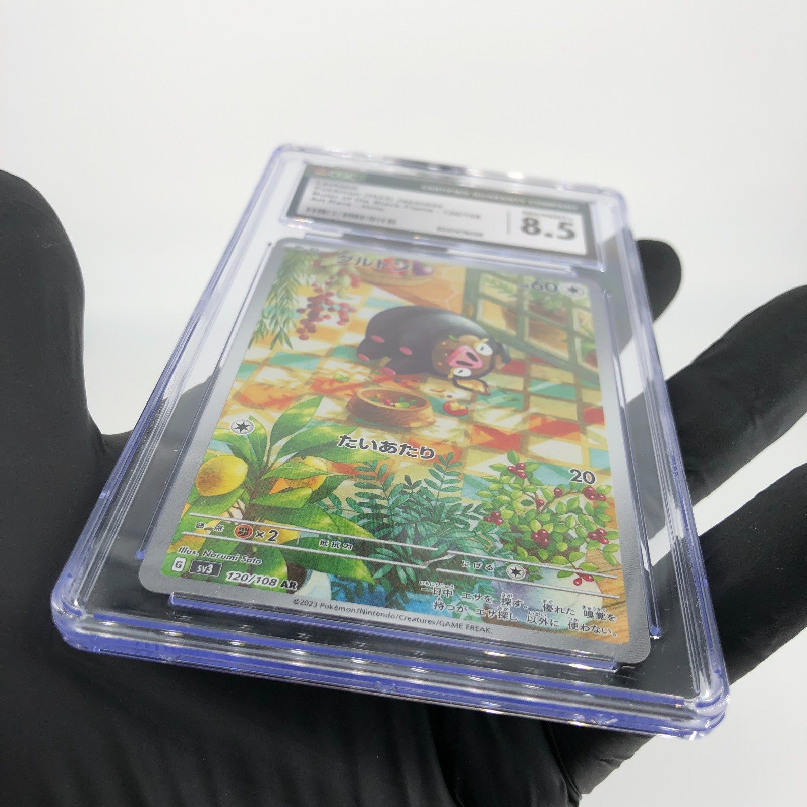 CGC 8.5 Pokemon Card Lechonk 120/108 AR SV3 Japanese Karte [8.5]