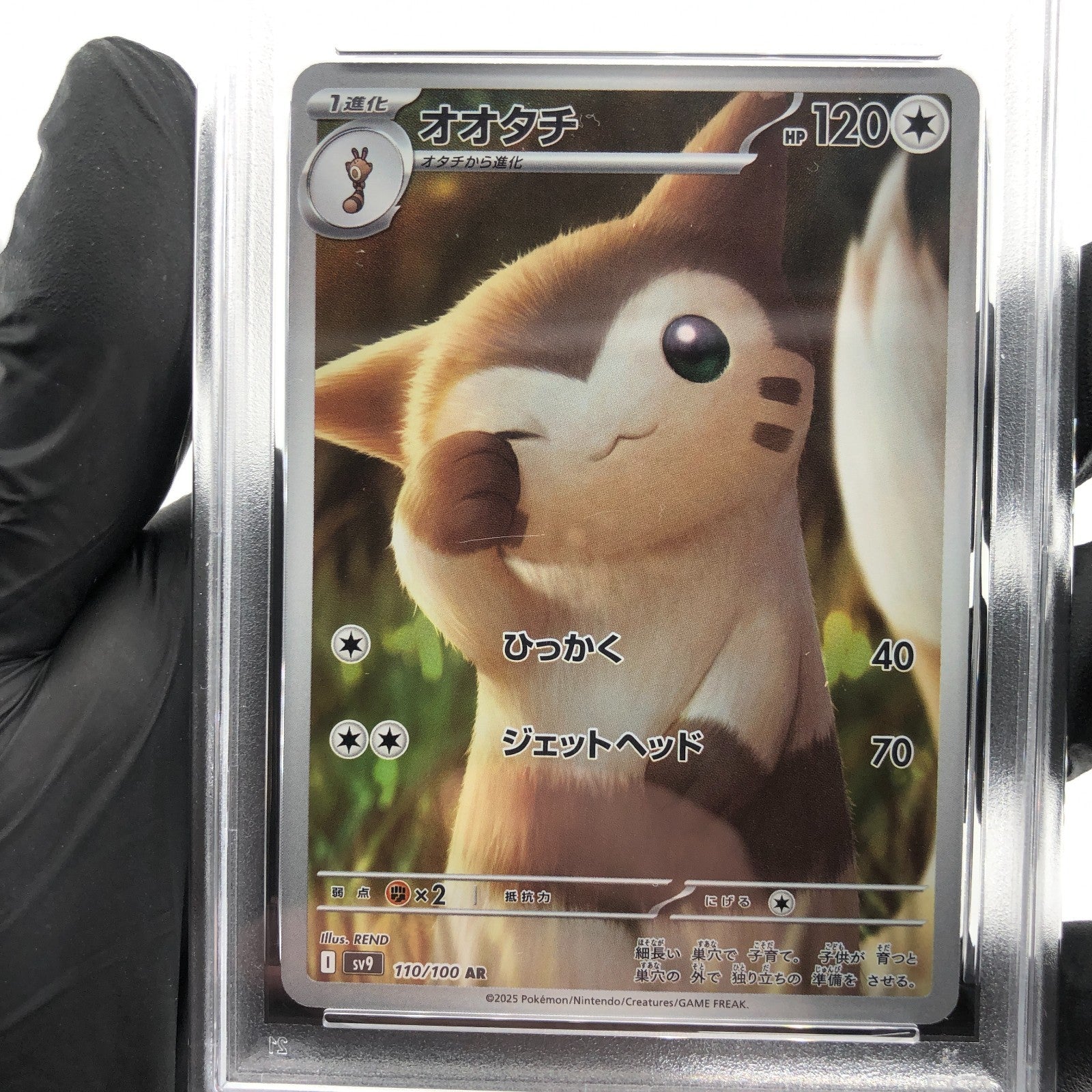 PSA 8 Pokemon Card Furret 110/100 AR SV9 Japanese Karte [8]