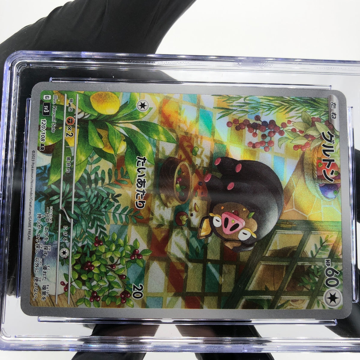 CGC 8.5 Pokemon Card Lechonk 120/108 AR SV3 Japanese Karte [8.5]