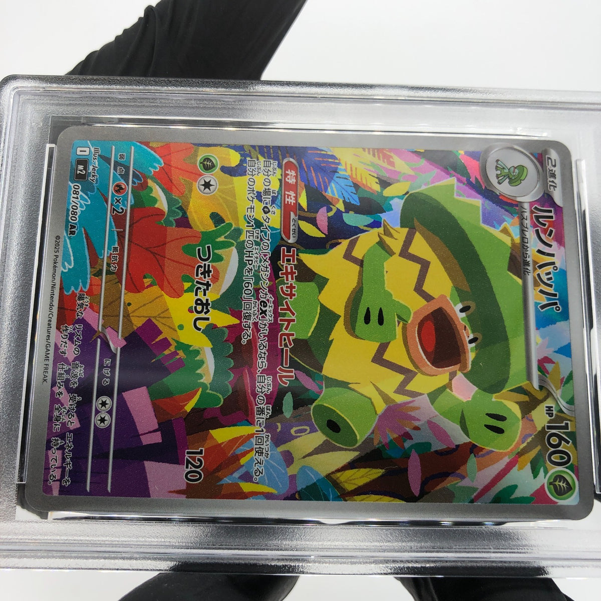 PSA 8 Pokemon Card Ludicolo 081/080 AR M2 Japanese Karte [8] 3