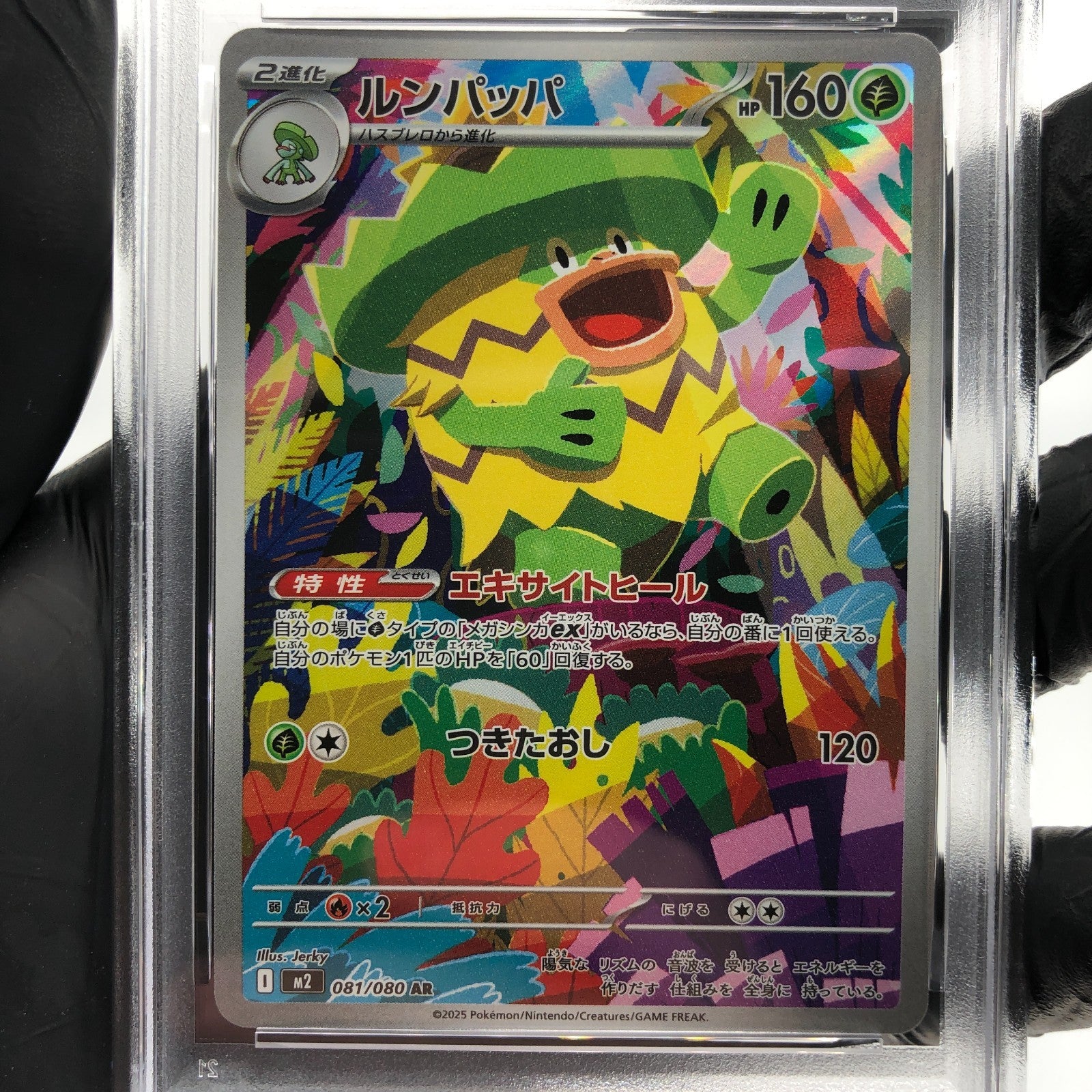 PSA 8 Pokemon Card Ludicolo 081/080 AR M2 Japanese Karte [8]