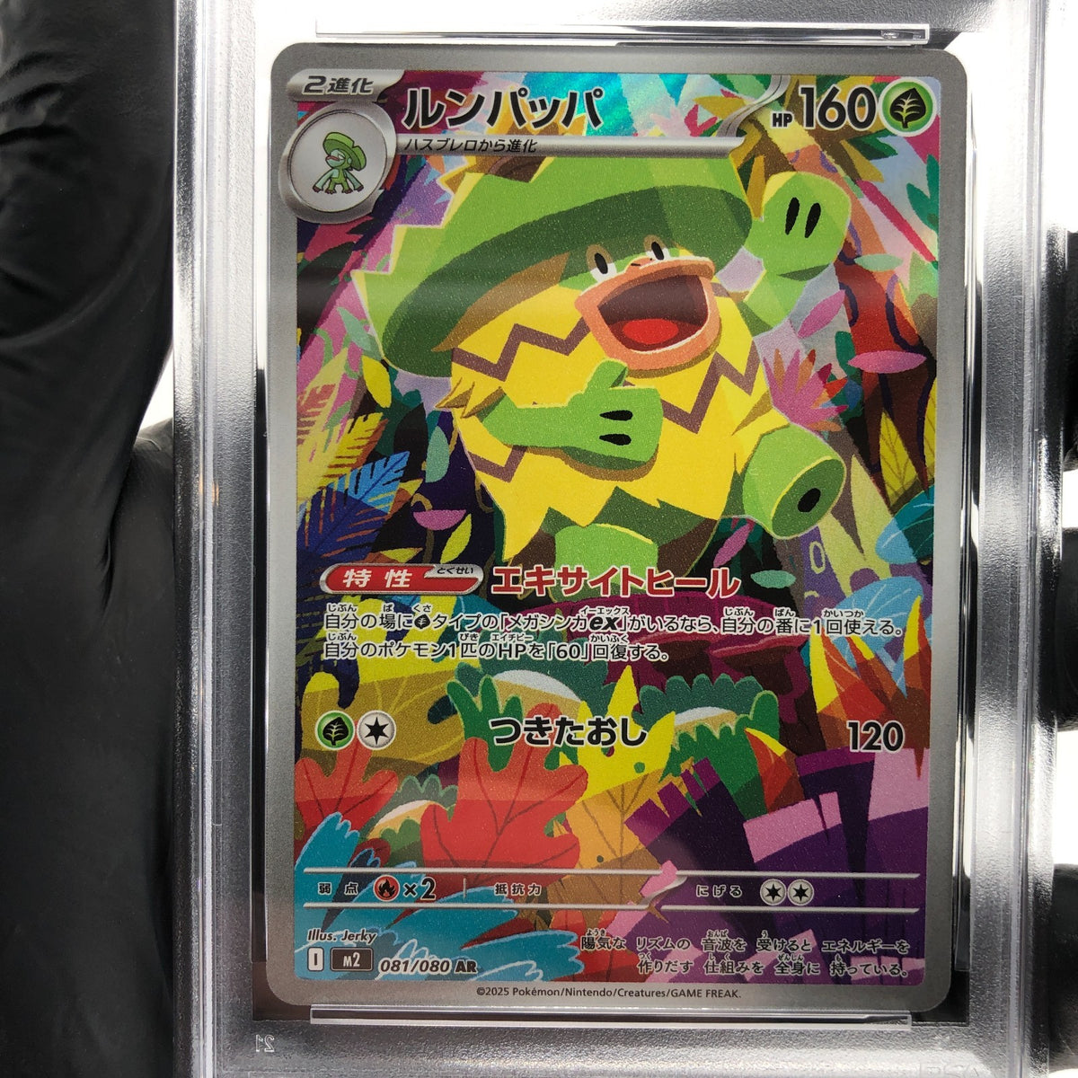 PSA 10 Pokemon Card Ludicolo 081/080 AR M2 Japanese Karte [10] 2