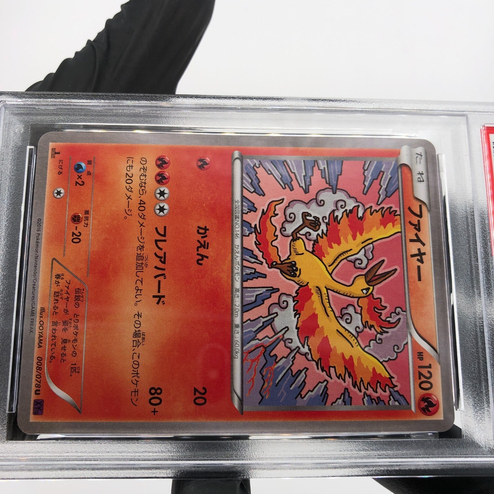 PSA 9 Pokemon Card Moltres 008/078 U 1.Edition XY10 Japanese Karte [9]