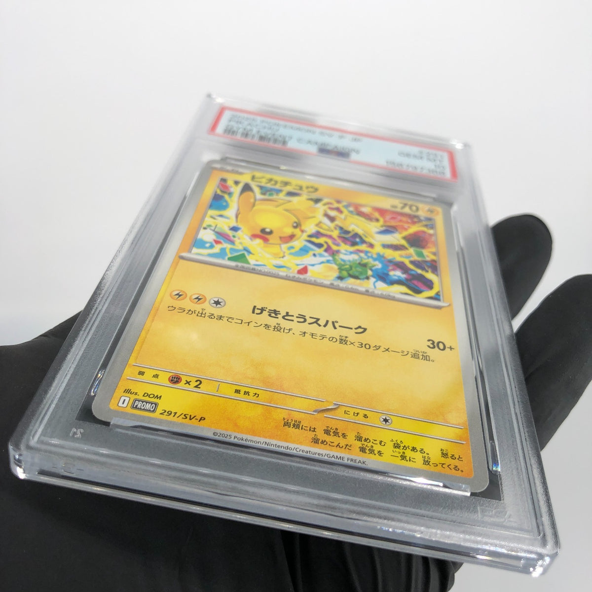 PSA 10 Pokemon Card Pikachu 291/SV-P Event Gym Promo Japanese Karte [10]