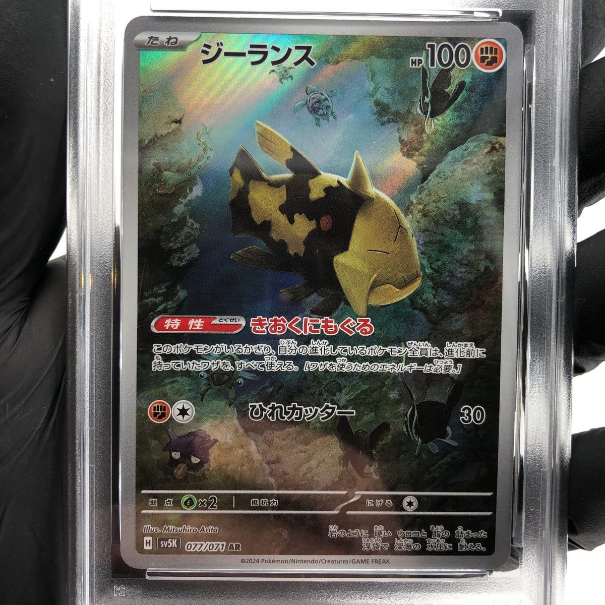 PSA 8 Pokemon Card Relicanth 077/071 AR SV5K Japanese Karte [8]
