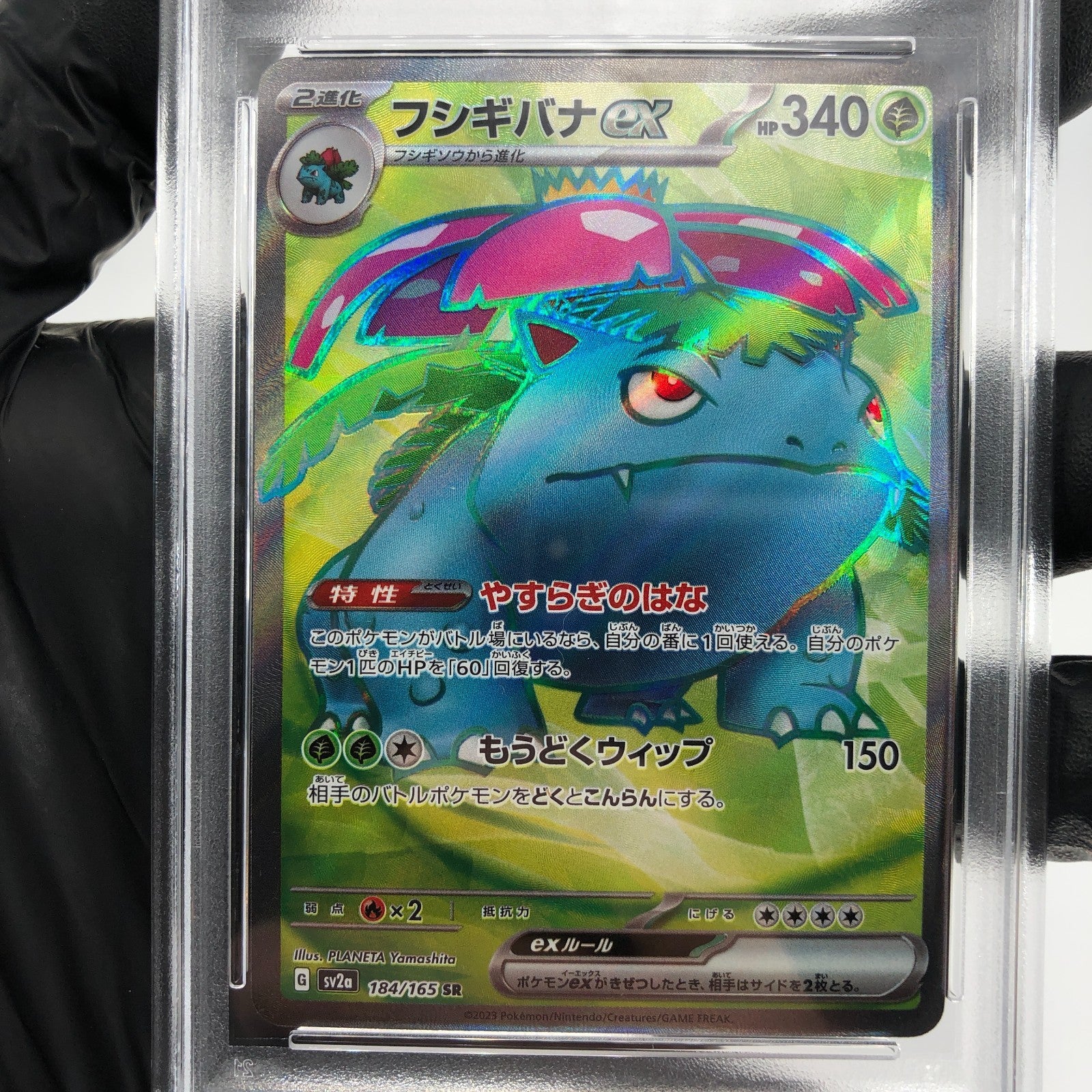 PSA 9 Pokemon Card Venusaur 184/165 SR SV2a japanese Karte [9]