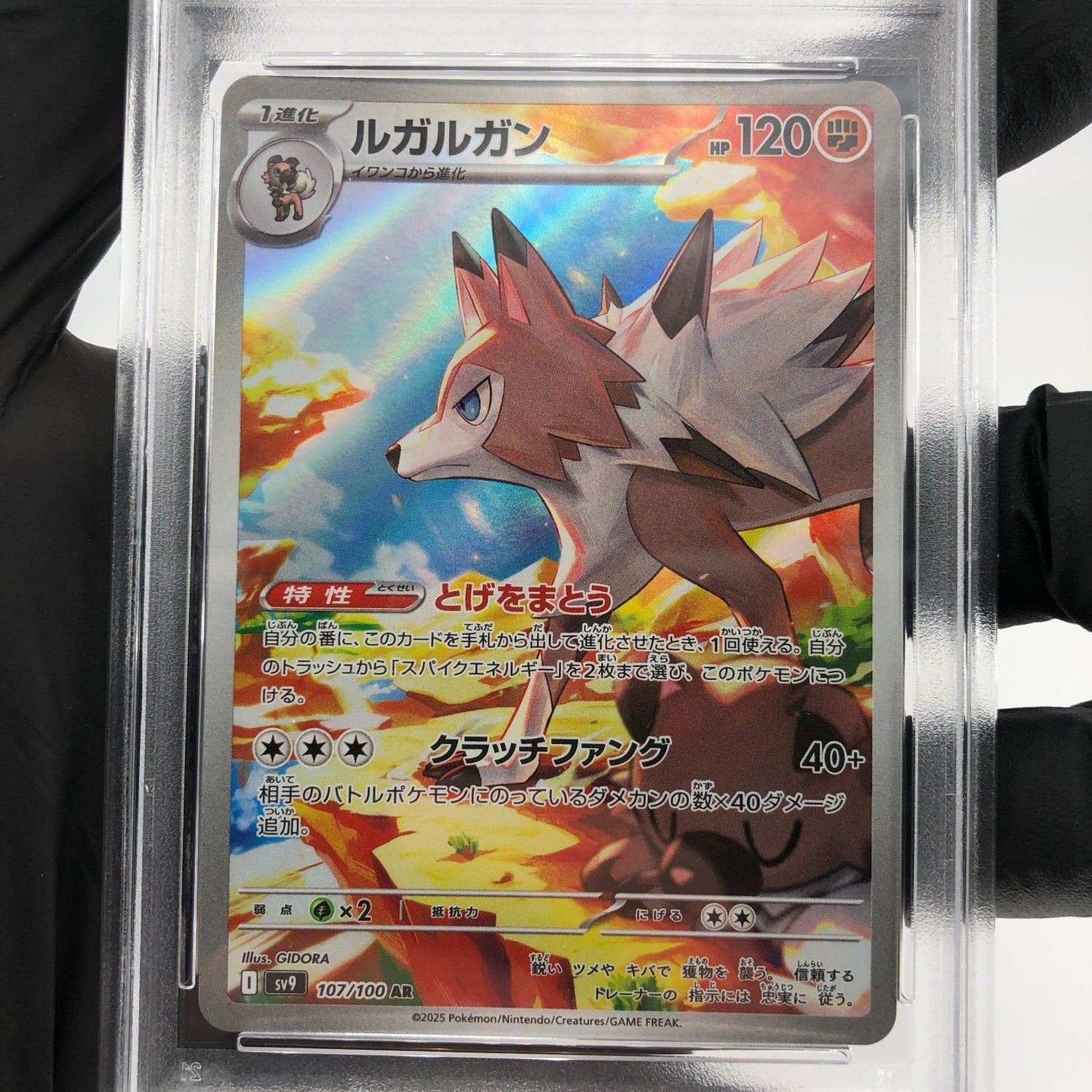 PSA 8 Pokemon Card Lycanroc 107/100 AR SV9 Japanese Karte [8]