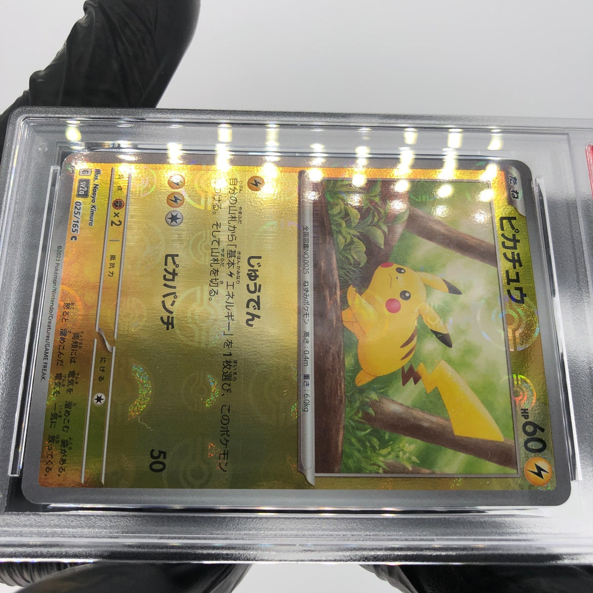 PSA 9 Pokemon Card Pikachu 025/165 C Pokeball SV2a Japanese Karte [9]