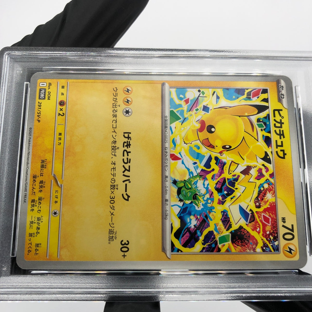PSA 10 Pokemon Card Pikachu 291/SV-P Event Gym Promo Japanese Karte [10]