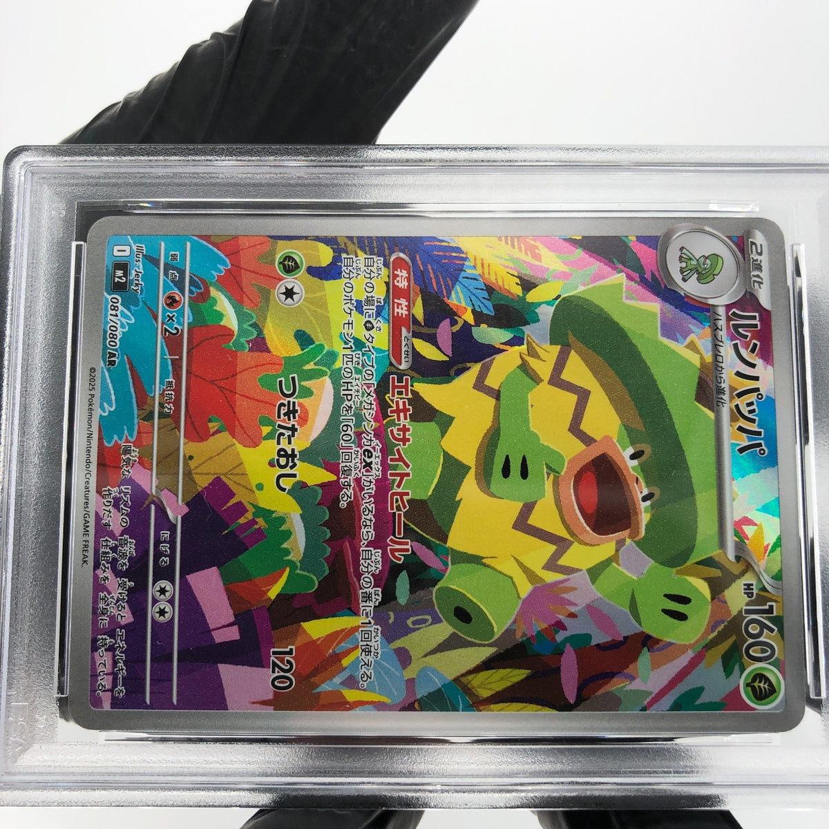 PSA 9 Pokemon Card Ludicolo 081/080 AR M2 Japanese Karte [9]