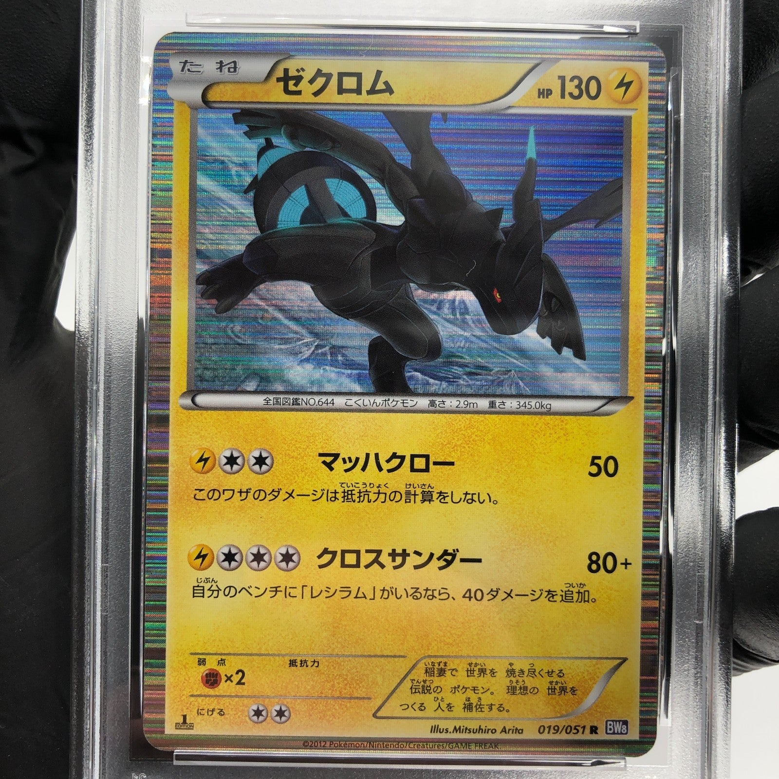 PSA 8 Pokemon Card Zekrom  019/051 R BW8 Japanese Karte [8]