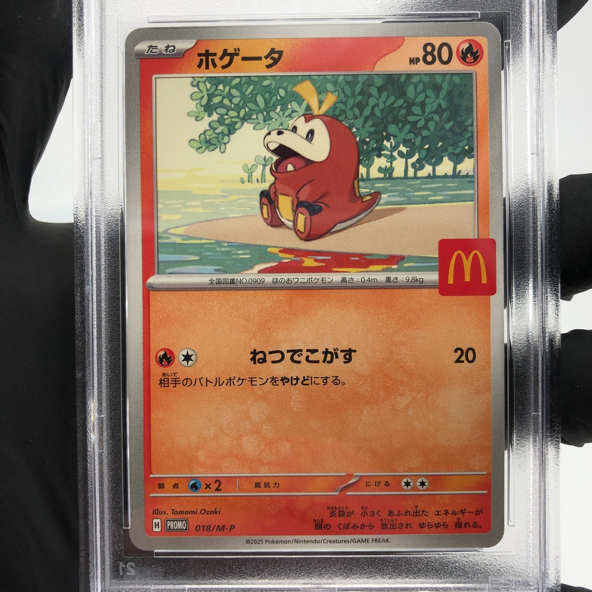 PSA 9 Pokemon Card Fuecoco 018/M-P McDOnalds Promo Japanese Karte [9] 4