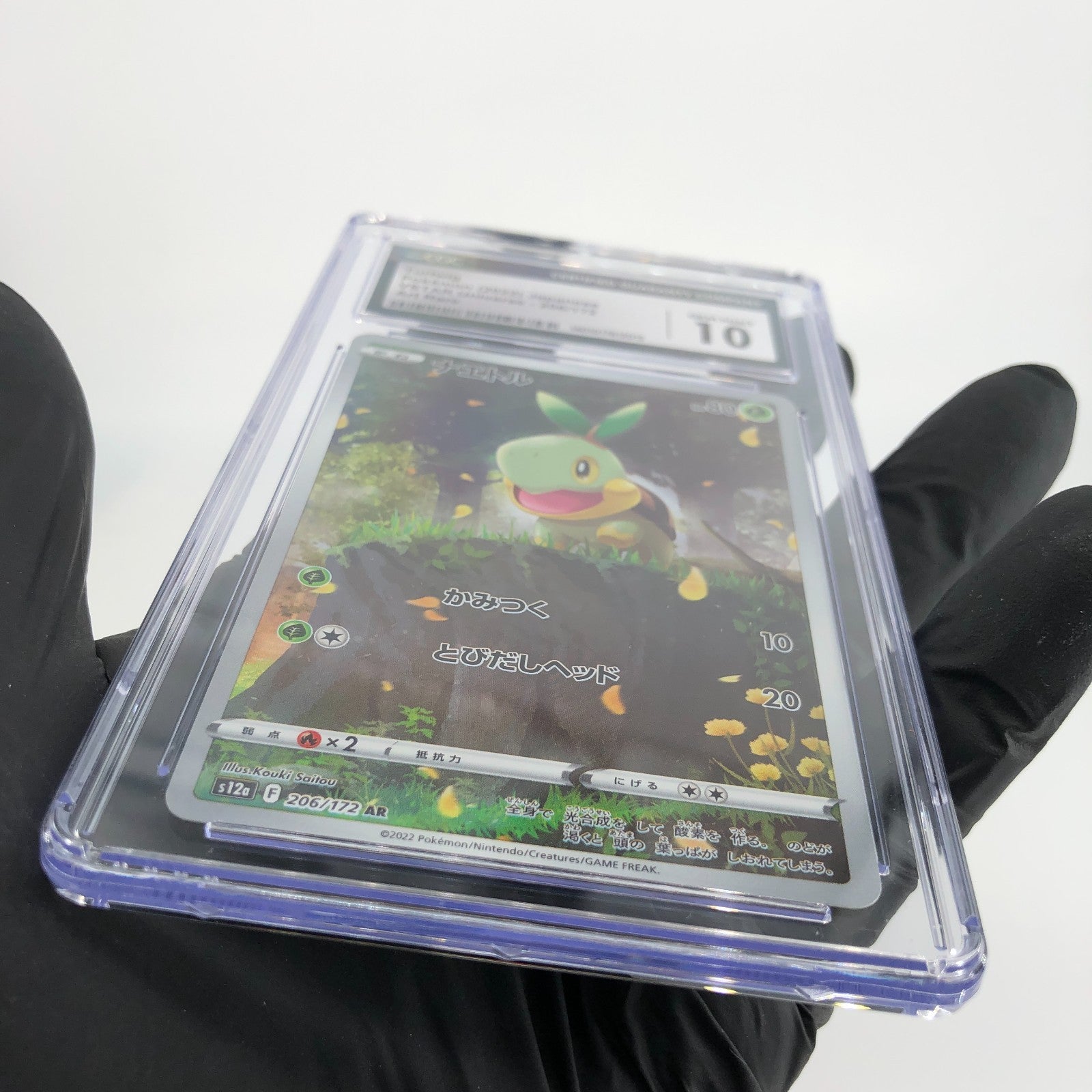 CGC 10 Pokemon Card Turtwig 206/172 AR s12a Japanese Karte [10]