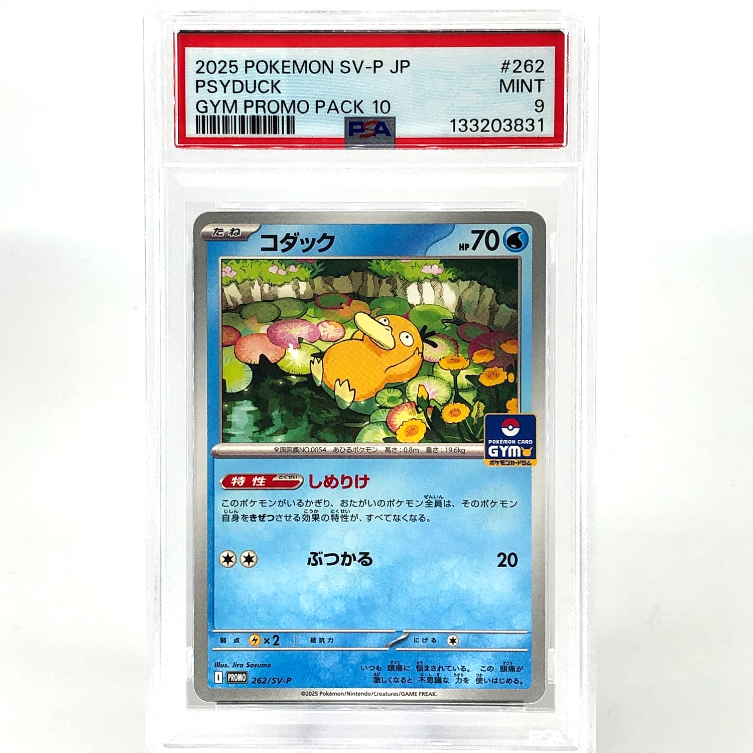 PSA 9 Pokemon Card Psyduck 262/SV-P Gym Promo Japanese Karte [9]
