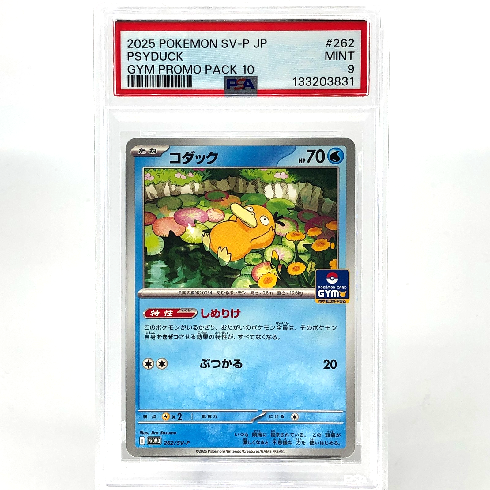 PSA 9 Pokemon Card Psyduck 262/SV-P Gym Promo Japanese Karte [9]
