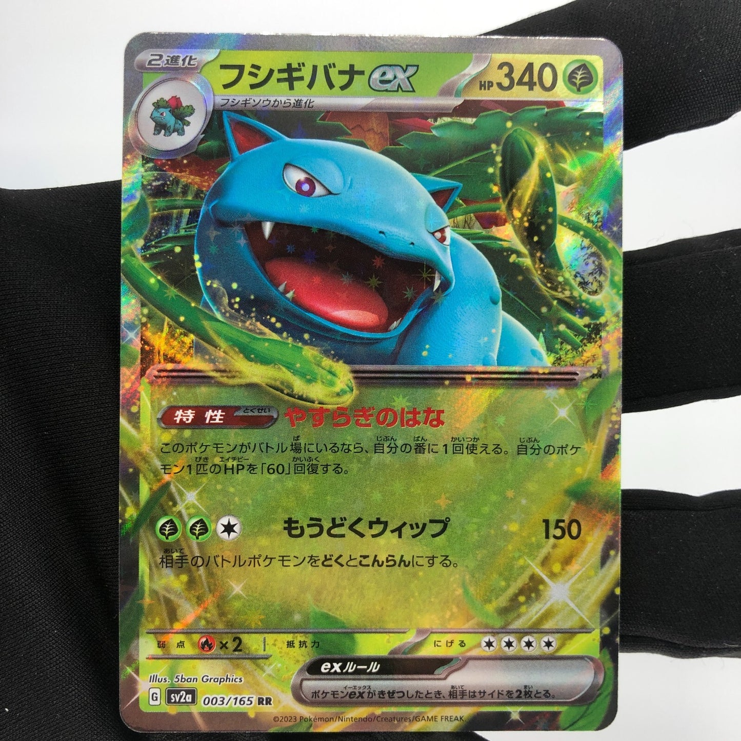 Pokemon Card Venusaur Ex 003/165 RR SV2a japanese Karte [Mint]