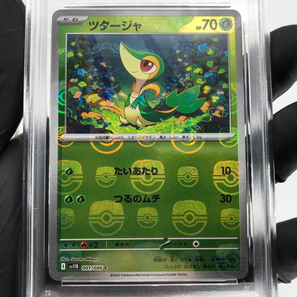 PSA 9 Pokemon Card Snivy 001/086 C Masterball SV11B Japanese Karte [9] 3