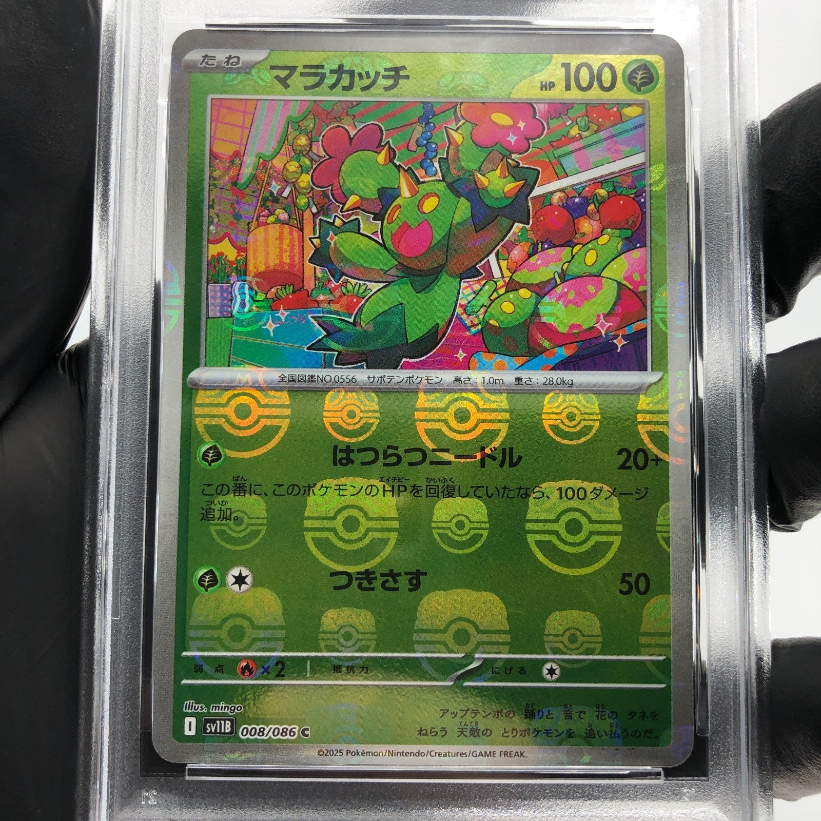 PSA 9 Pokemon Card Maractus 008/086 C Masterball SV11B Japanese Karte [9]