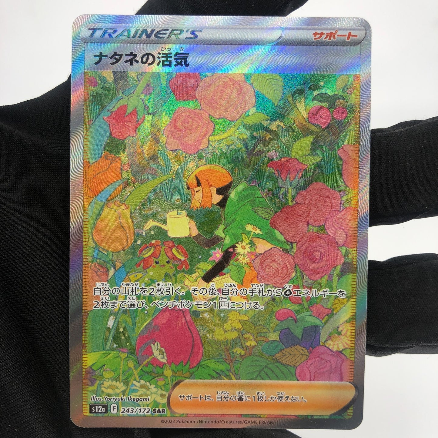 Pokemon Card  Gardenia's Vigor 243/172  SAR s12a Japanese Karte [Mint]