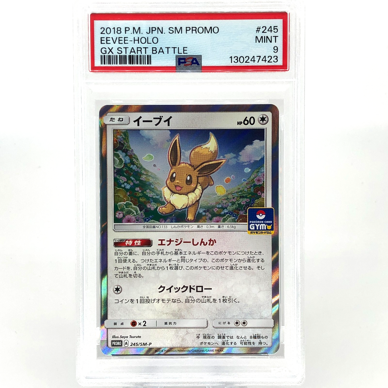 PSA 9 Pokemon Card Eevee 245/SM-P Promo Gym Holo Japanese Karte [9]