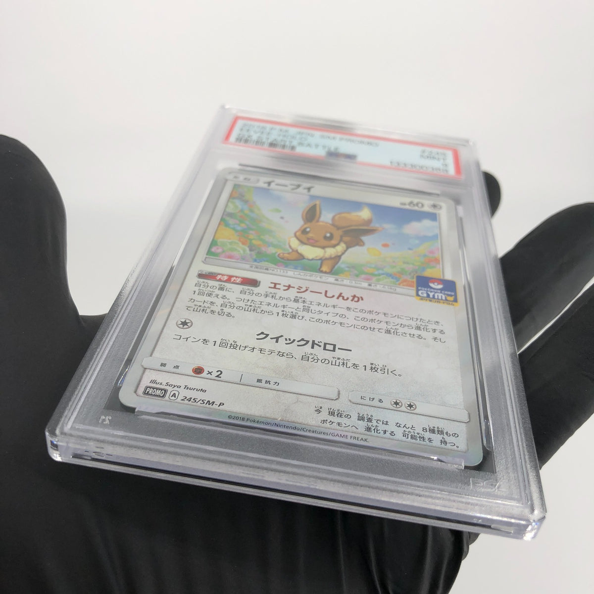 PSA 9 Pokemon Card Eevee 245/SM-P Promo Gym Holo Japanese Karte [9]