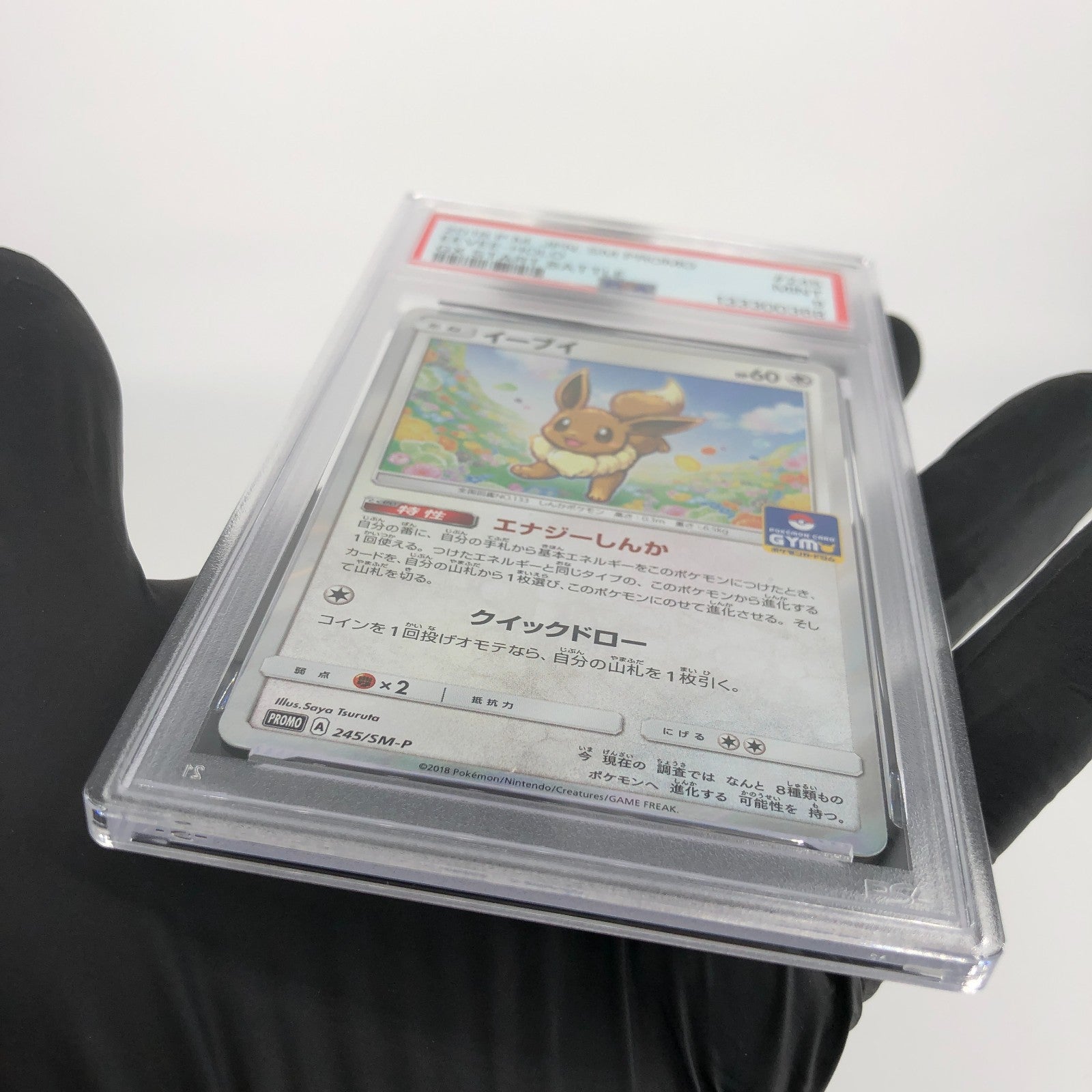 PSA 9 Pokemon Card Eevee 245/SM-P Promo Gym Holo Japanese Karte [9]