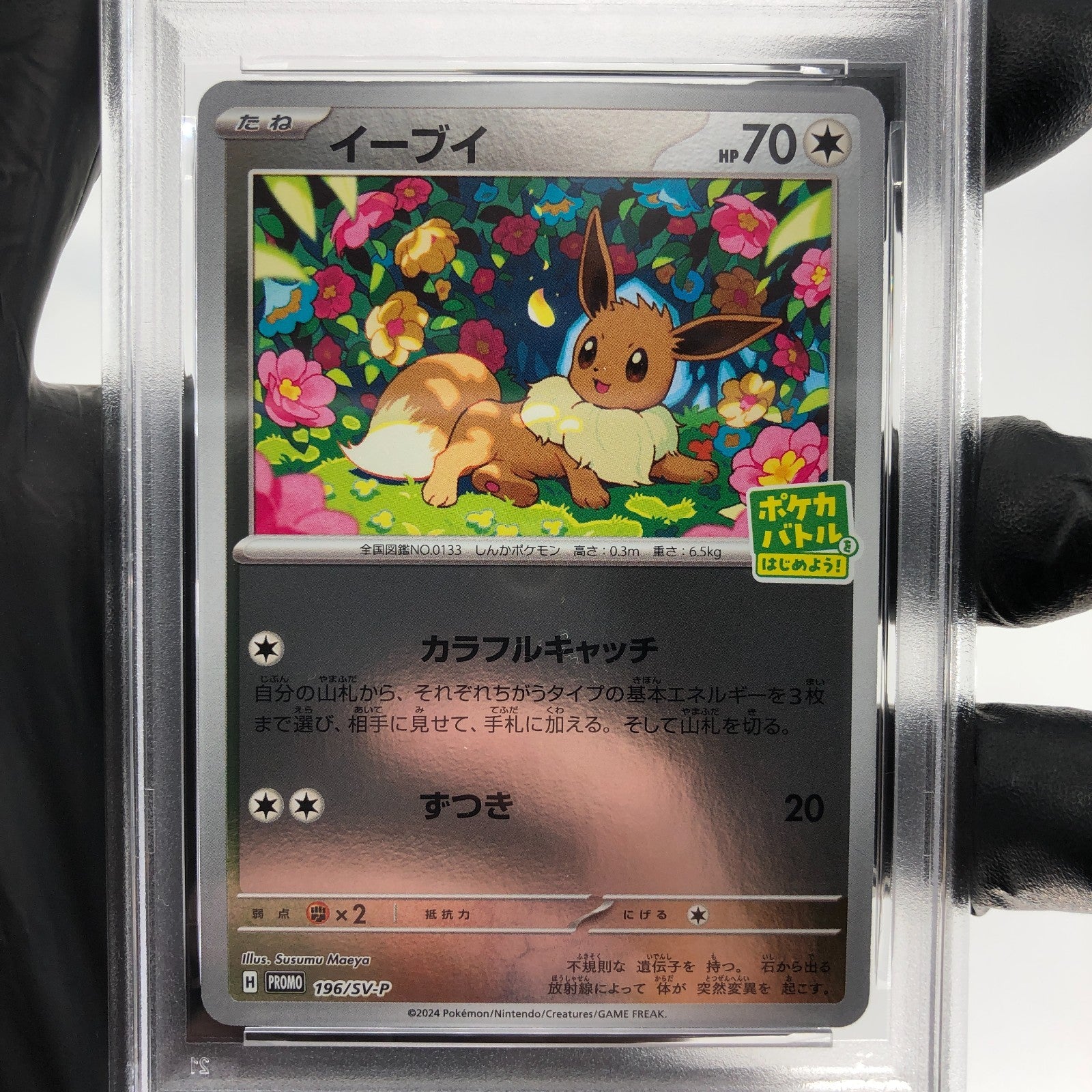 PSA 8 Pokemon Card Eevee 196/SV-P Promo Holo Japanese Karte [8]