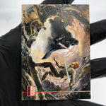 Star Wars Galaxy Card Luke Darth Vader Ray Lago 241 Topps Vader 1994 [NM]