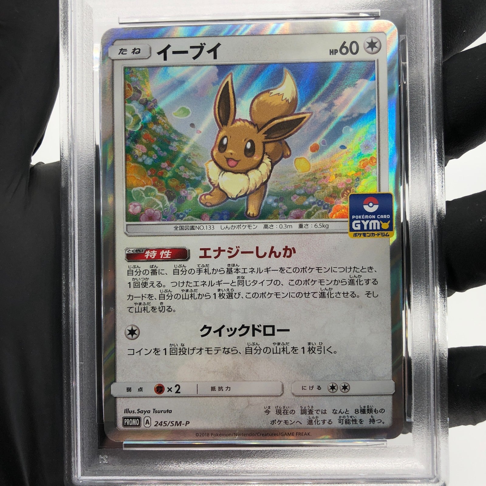 PSA 9 Pokemon Card Eevee 245/SM-P Promo Gym Holo Japanese Karte [9]