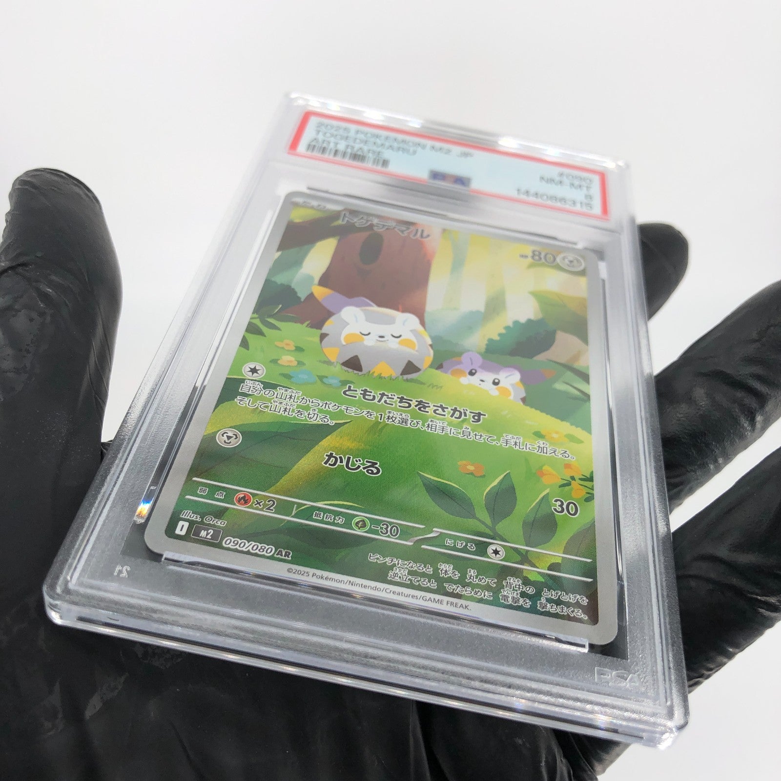 PSA 8 Pokemon Card Togedemaru 090/080 AR M2 Japanese Karte [8] 2