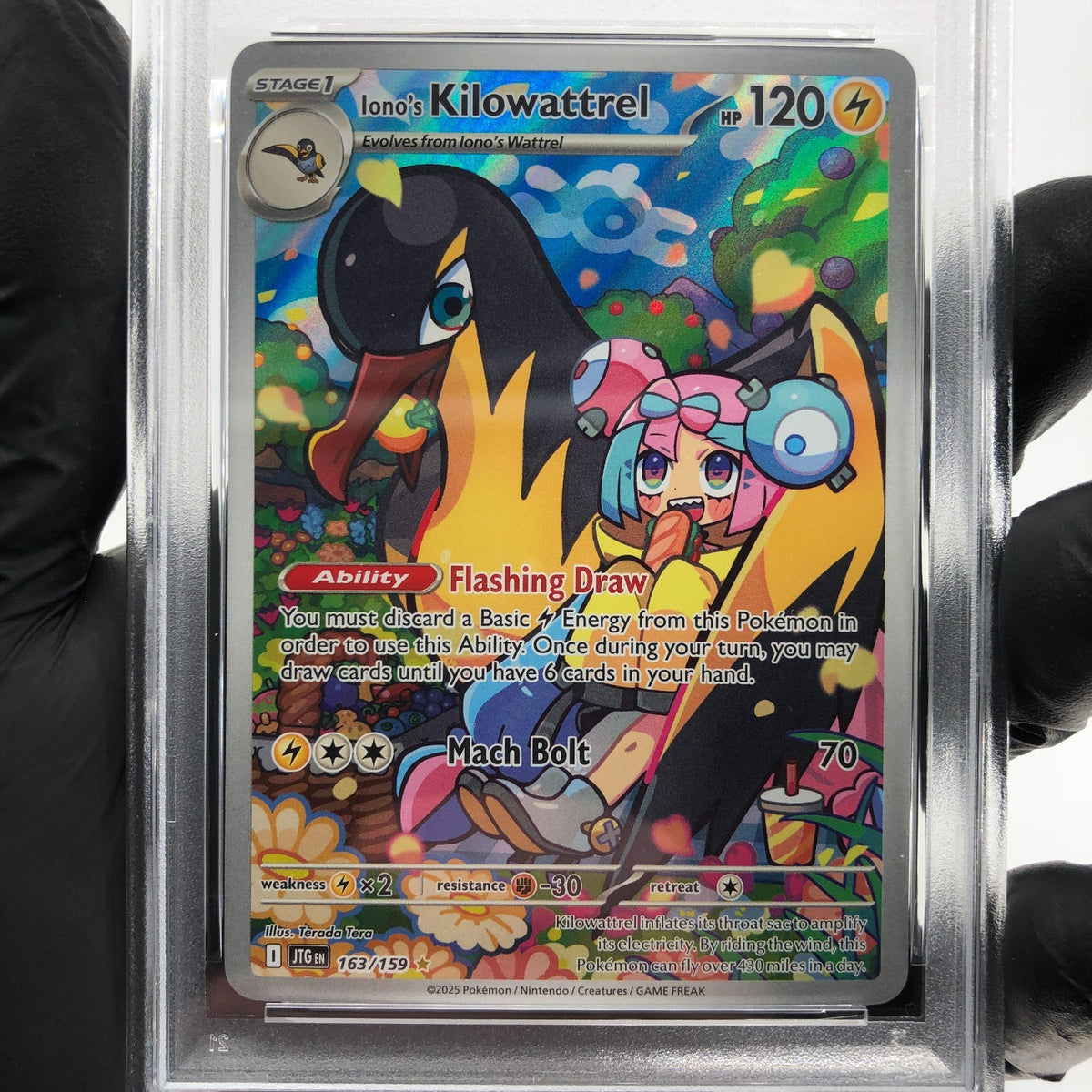 PSA 8 Pokemon Card Ionos Kilowattrel 163/159 AR JTG English Karte [8]