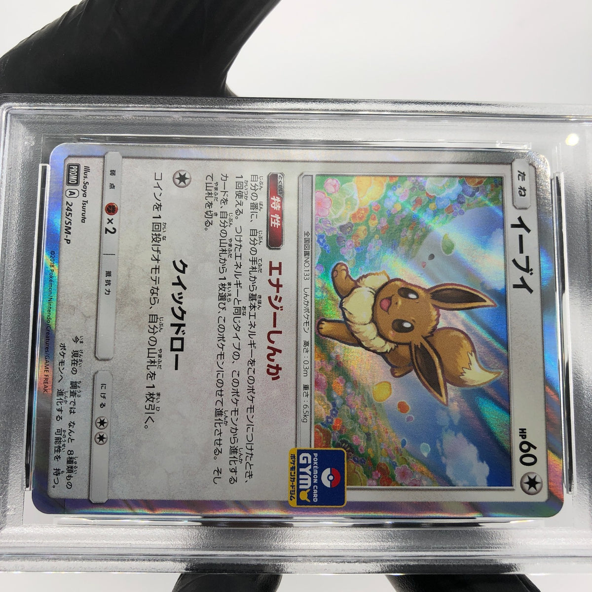 PSA 9 Pokemon Card Eevee 245/SM-P Promo Gym Holo Japanese Karte [9]