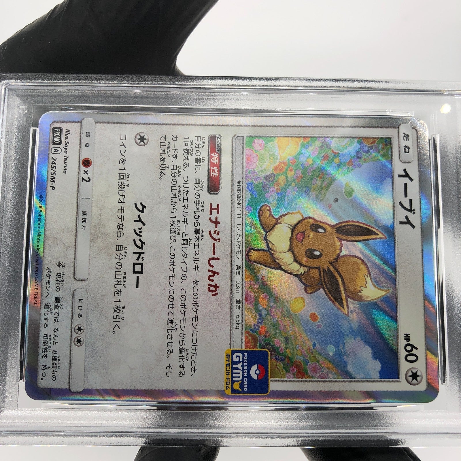 PSA 9 Pokemon Card Eevee 245/SM-P Promo Gym Holo Japanese Karte [9]