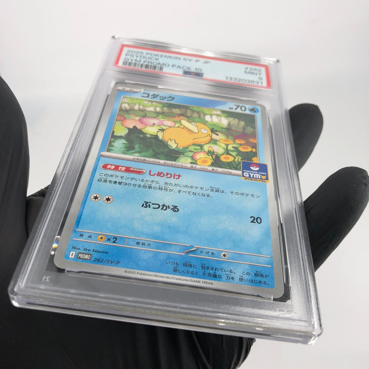 PSA 9 Pokemon Card Psyduck 262/SV-P Gym Promo Japanese Karte [9]