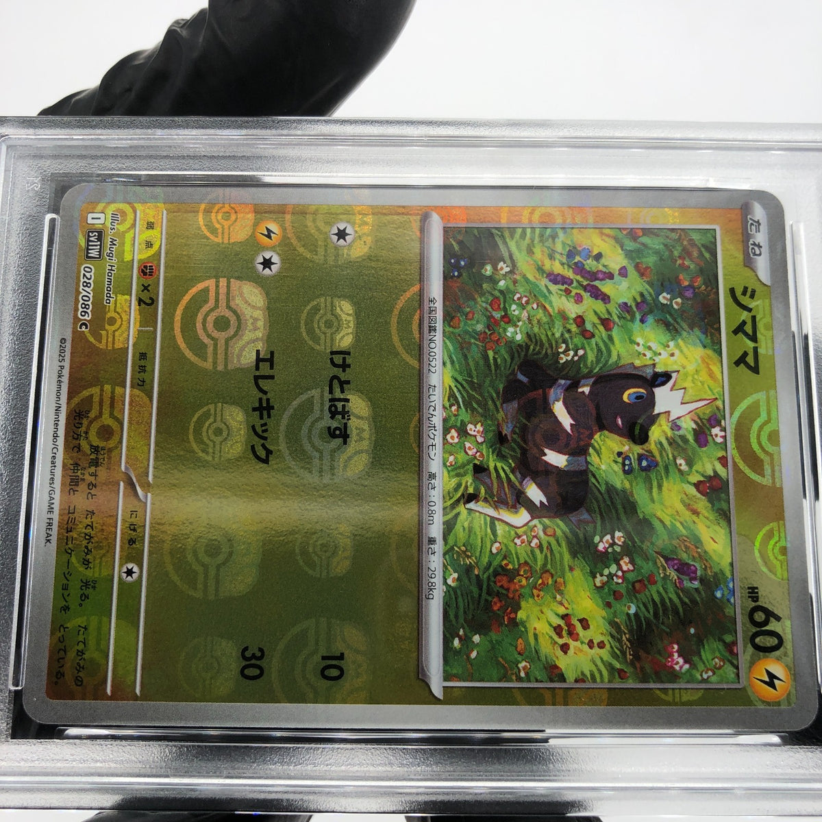 PSA 10 Pokemon Card Blitzle 028/086 C Masterball SV11W Japanese Karte [10]