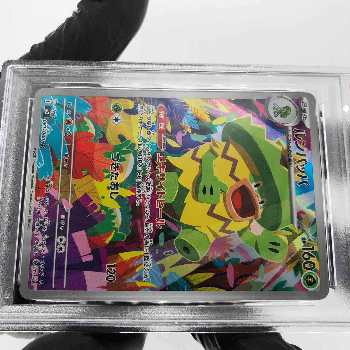 PSA 8 Pokemon Card Ludicolo 081/080 AR M2 Japanese Karte [8]