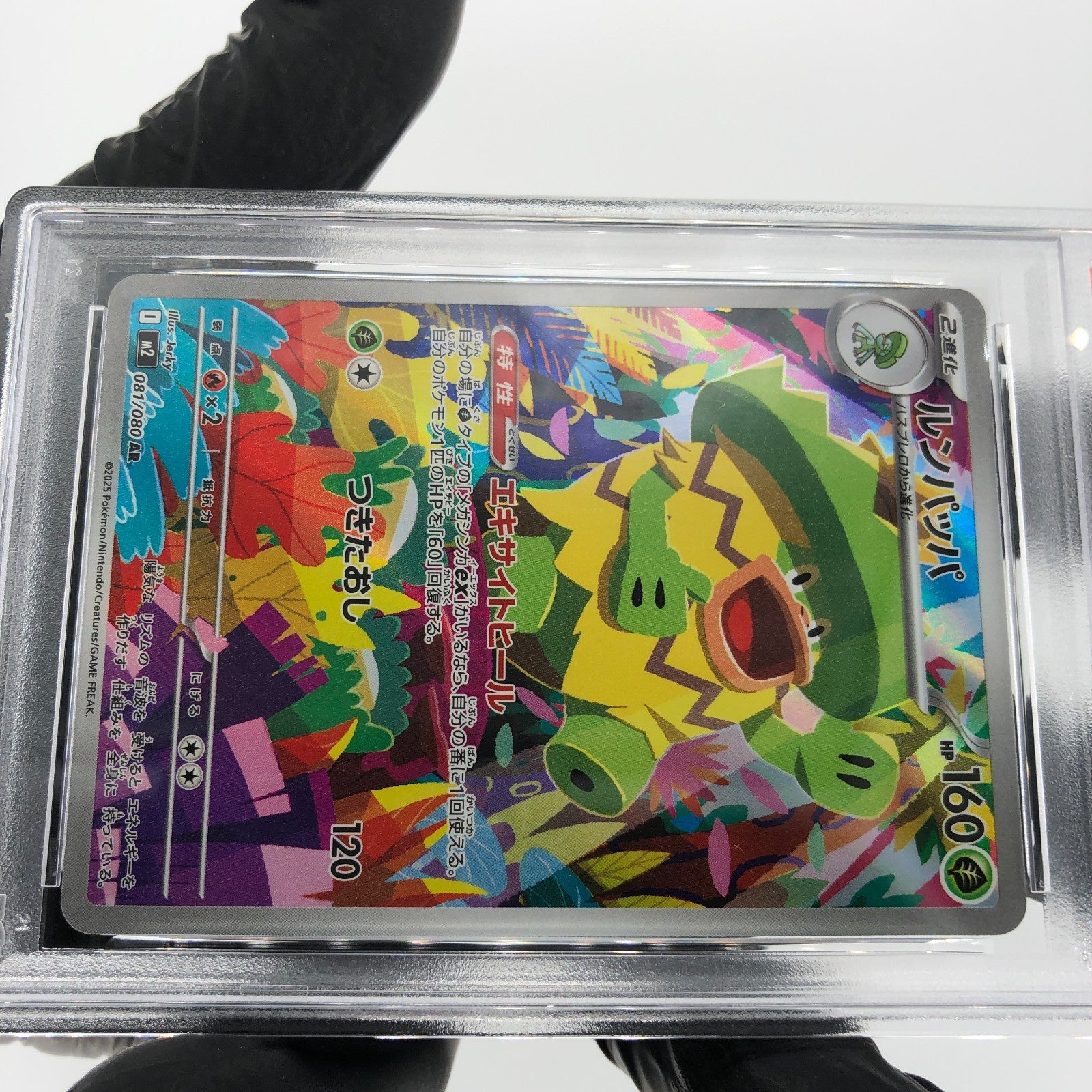 PSA 8 Pokemon Card Ludicolo 081/080 AR M2 Japanese Karte [8]