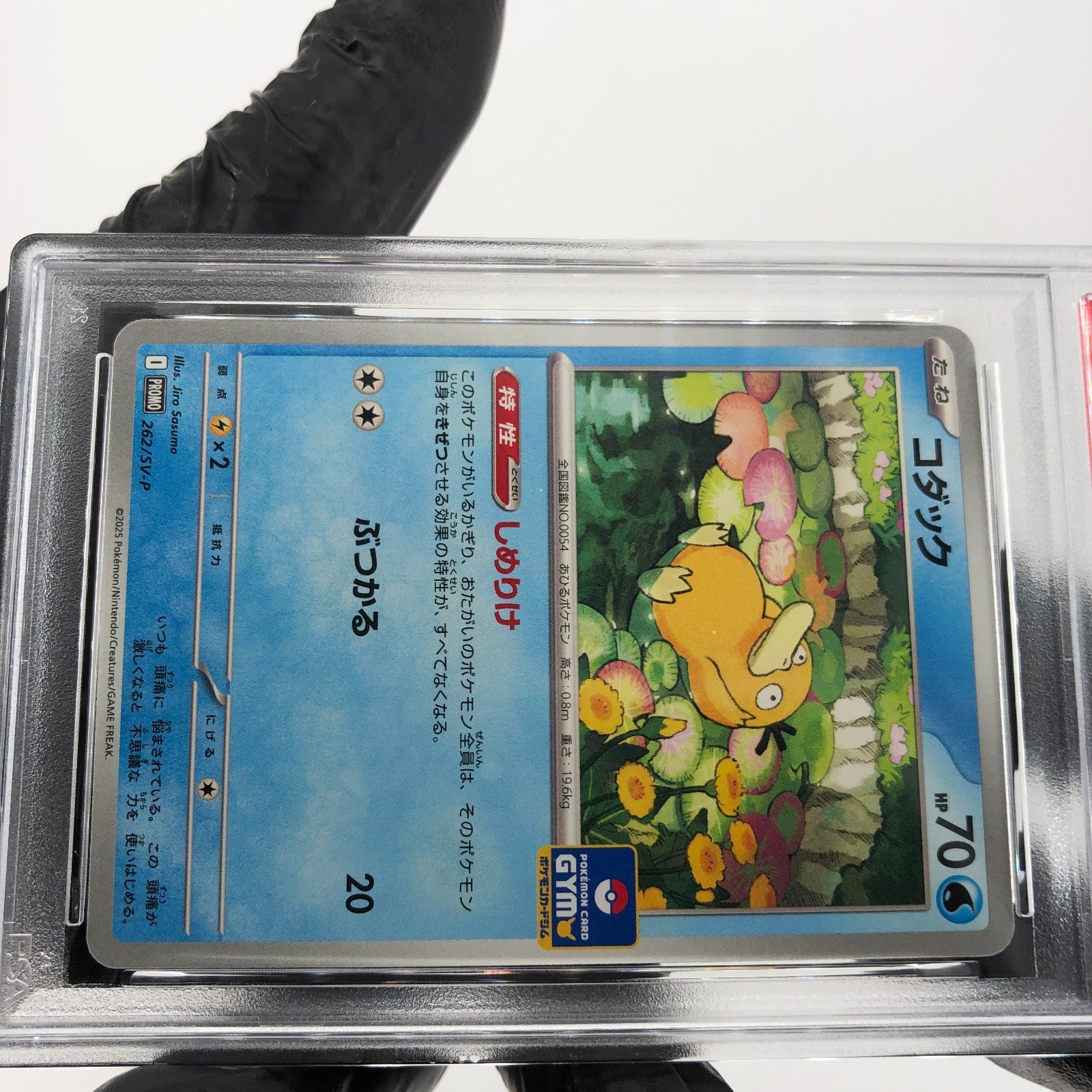 PSA 9 Pokemon Card Psyduck 262/SV-P Gym Promo 2025 Japanese Karte [9]